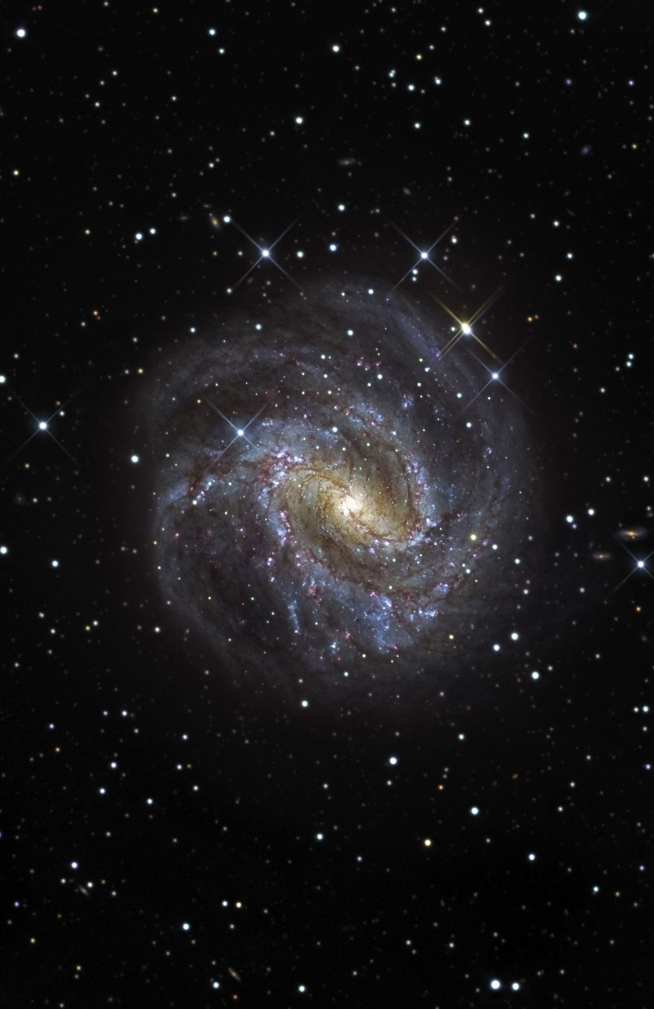 The Southern Pinwheel Galaxy Canvas Art - R Jay GaBanyStocktrek Images (22 x 34)