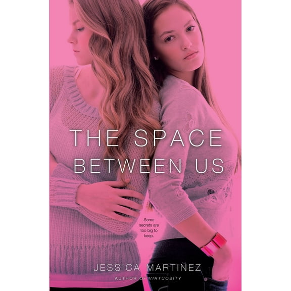 The Space Between Us (Hardcover)