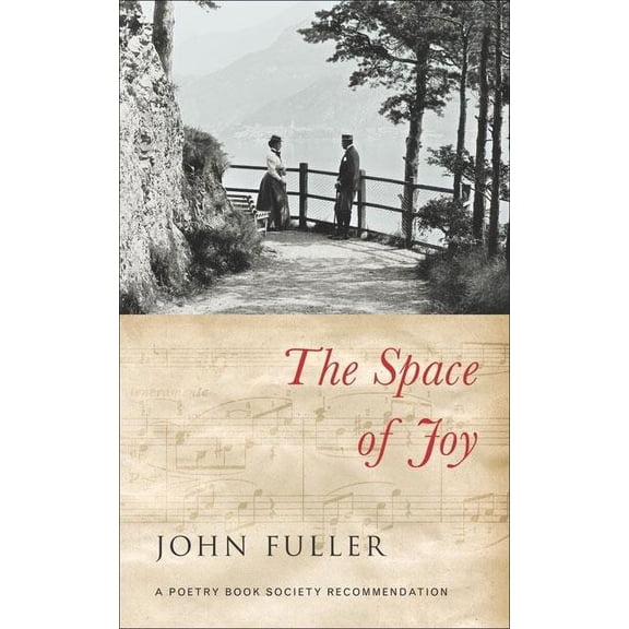 The Space of Joy (Paperback)