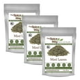 thumbnail image 1 of The Spice Way Mint Leaves - All Natural Spice Blend, Pack of 3 Resealable Pouch - 2oz, 1 of 8