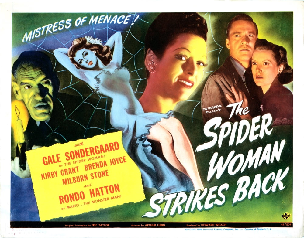 The Spider Woman Strikes Back U Canvas Art -  (28 x 22)