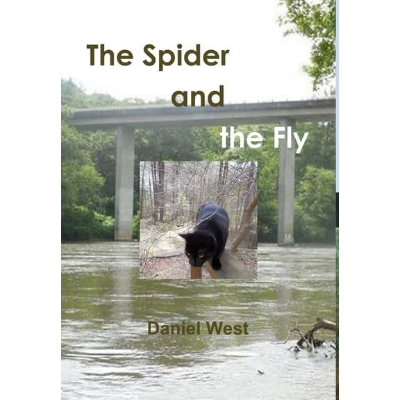 The Spider and the Fly, (Hardcover)