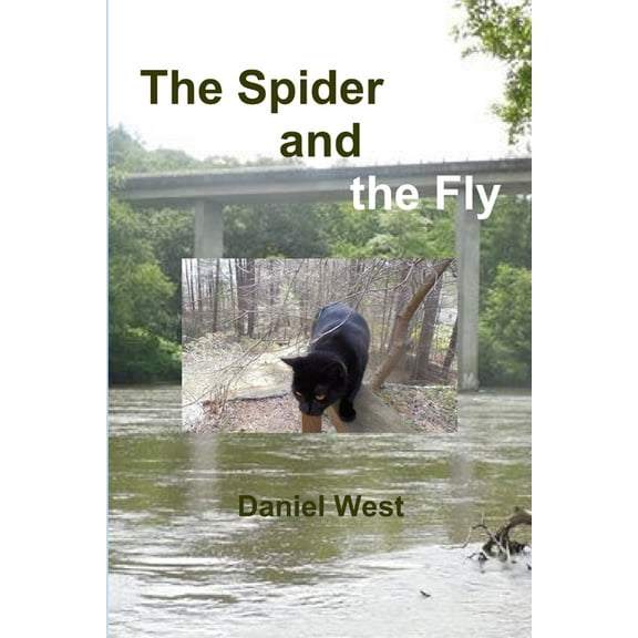 The Spider and the Fly, (Paperback)