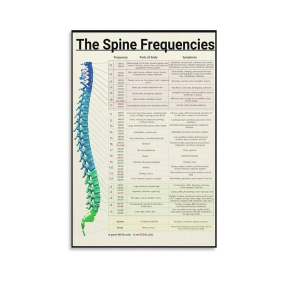 The Spine Frequencies Poster Science Education Canvas Wall Art Aesthetic Decorative Painting Living Room