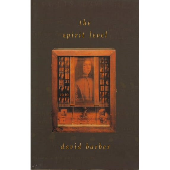 The Spirit Level (Paperback)