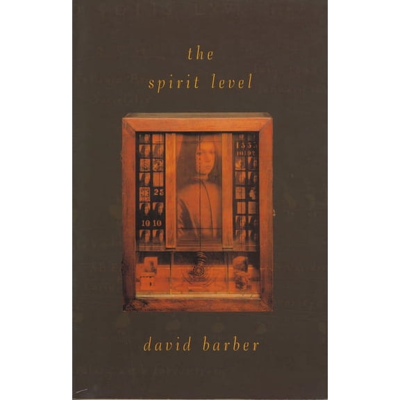 The Spirit Level (Paperback)