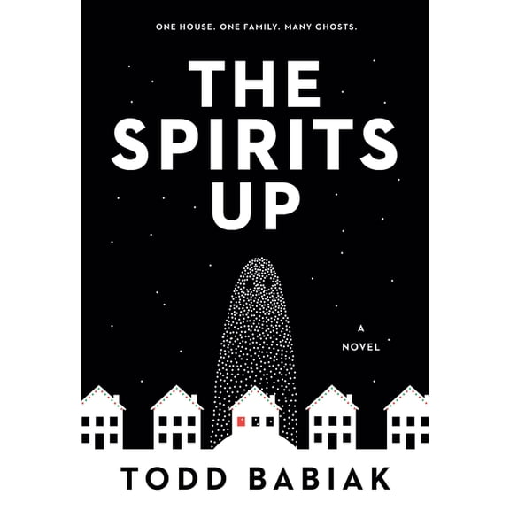 Pre-Owned The Spirits Up : A Novel (Paperback)
