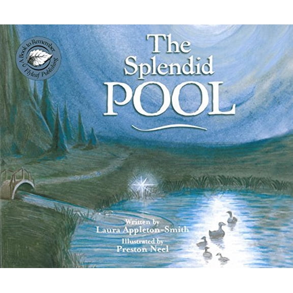 Pre-Owned The Splendid Pool (Paperback) 1605410217 9781605410210