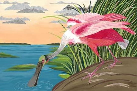 The Spoonbill Canvas Art - Jennifer Peck (24 x 36)