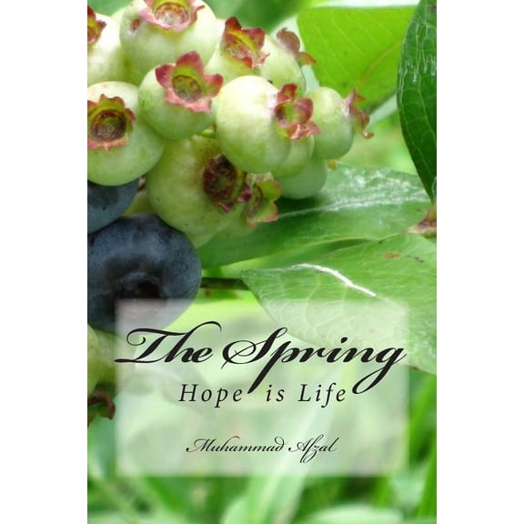 The Spring (Paperback)