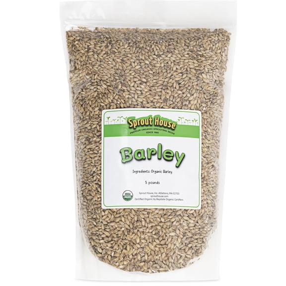 The Sprout House Barley Seed- Whole MVR1and unhulled, 5LB Certified Organic, Juice and Beer Brewing Malt, Microgreens Growing.