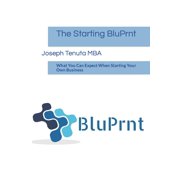 The Starting BluPrnt What You Can Expect When Starting Your Own Business, Paperback
