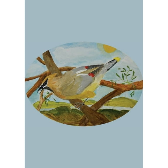 The Stone Soup Sketchbook (small): Sierra Glassman - Cedar Waxwing - unlined (Paperback) by Stone Soup (From an idea by)