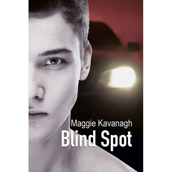 The Stonebridge Mysteries Blind Spot, Book 3, (Paperback)