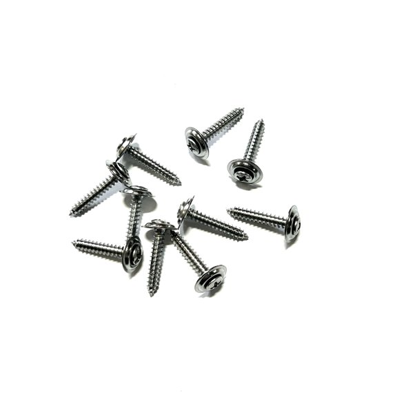 The Stop Shop 1967-1981 Kick Panel Screw Set, Chrome, 10 Pieces