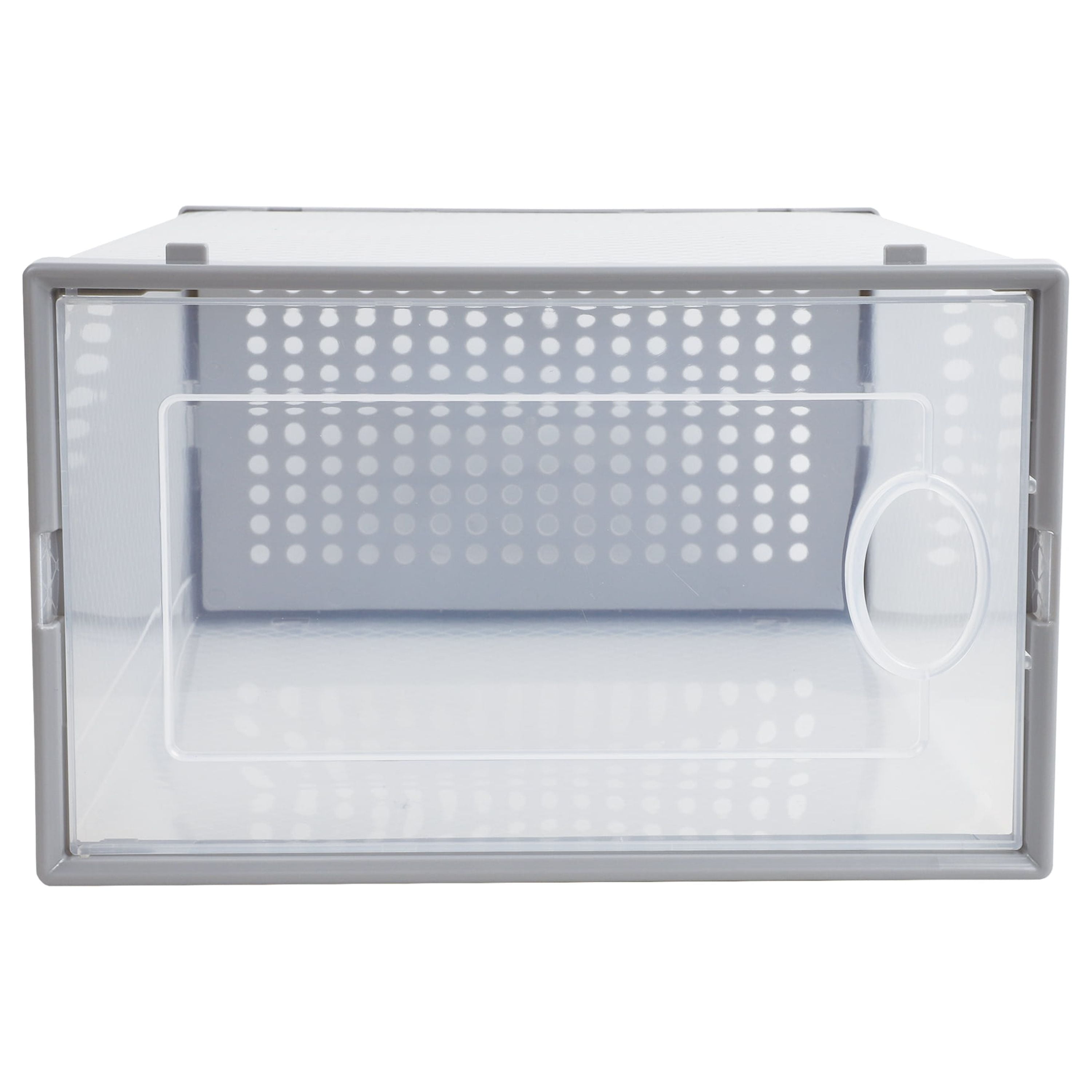 Plastic Shoe Box, 14.22" x 13.59" x 0.99", The Storage Editions, Use by Adults and Teens