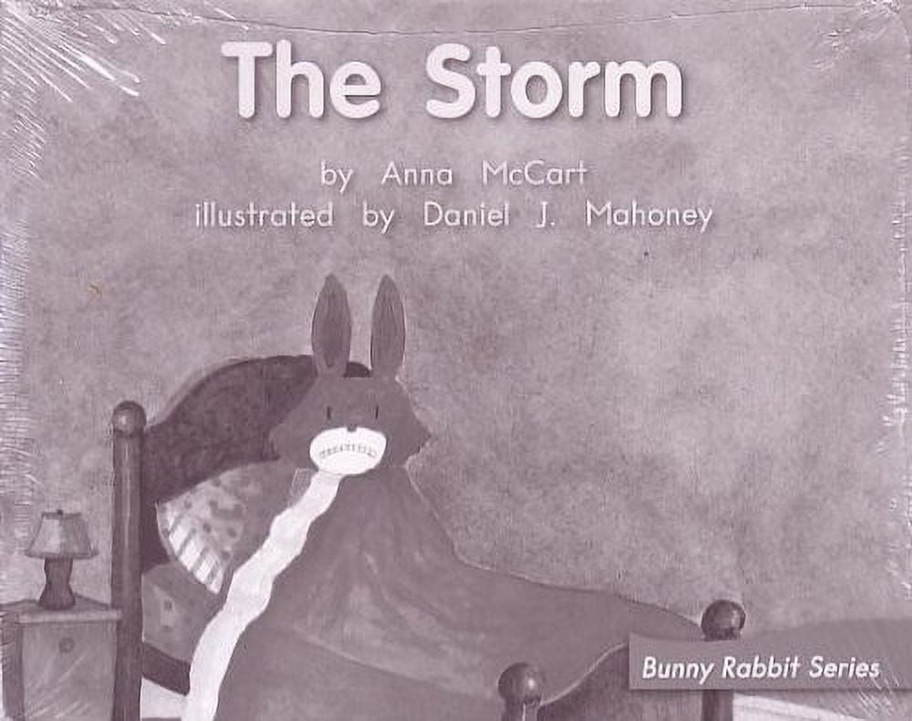 Pre-Owned The Storm; Leveled Literacy Intervention, My Take-Home 6 Pak Books,same title (Book 74, Level E, Fiction) Green System, Grade 1 (Bunny Rabbit Series) Paperback