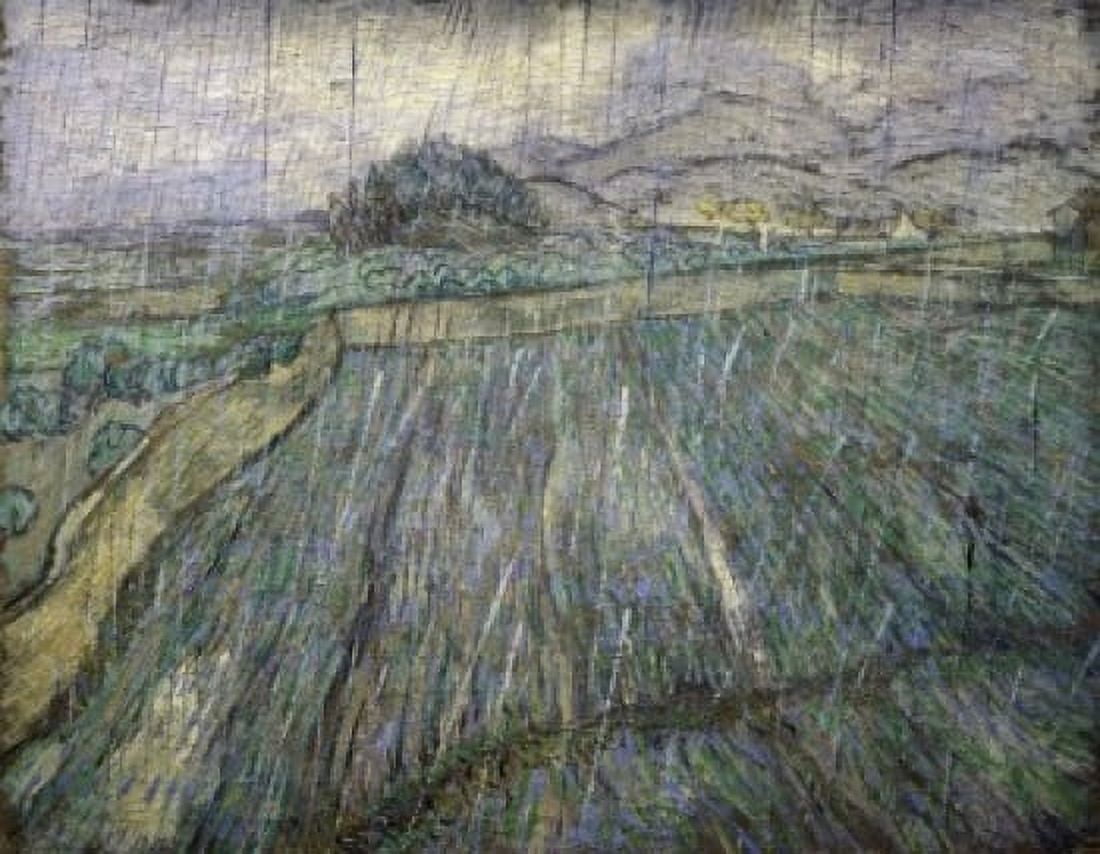 The Storm Vincent van Gogh (1853-1890Dutch) Mclhenny Collection Philadelphia Canvas Art - Vincent van Gogh (18 x 24)