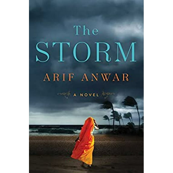 Pre-Owned The Storm (Hardcover) 1501174509 9781501174506