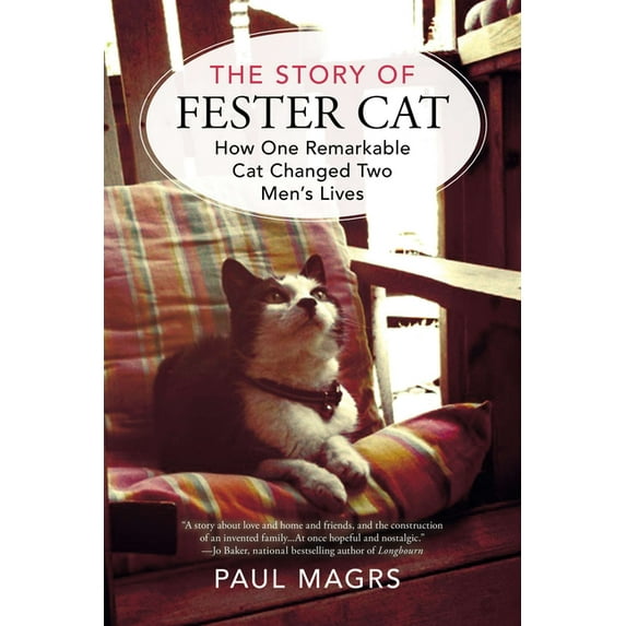 The Story of Fester Cat, (Paperback)