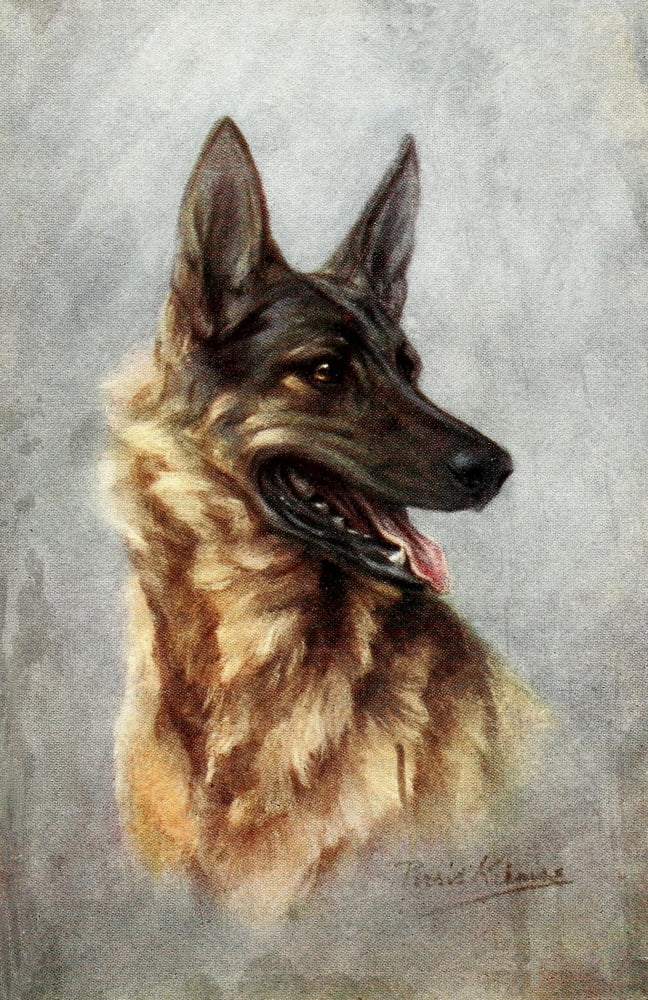 The Story of the Dog 1939 German Shepherd Canvas Art - Unknown (18 x 24)