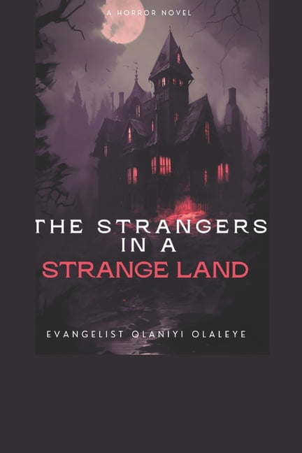 The Strangers in a Strange Land: A Novel of Love, Faith, Mystery, and Destiny, (Paperback)