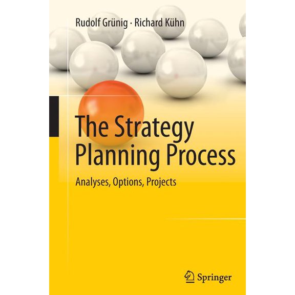 The Strategy Planning Process: Analyses, Options, Projects, (Paperback)
