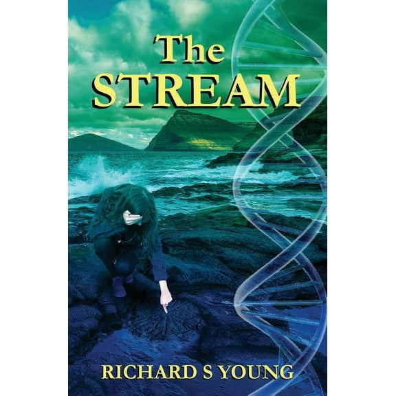 The Stream (Paperback)