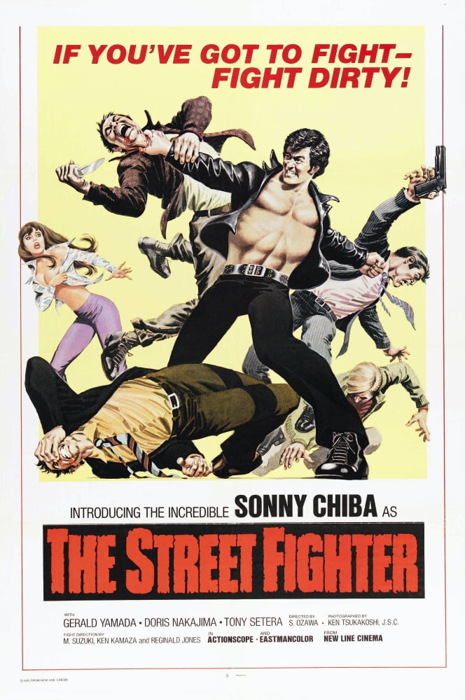 The Street Fighter Canvas Art - (24 x 36)
