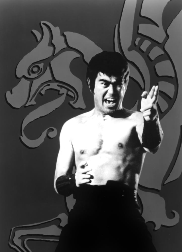 The Streetfighter Canvas Art - (16 x 20)