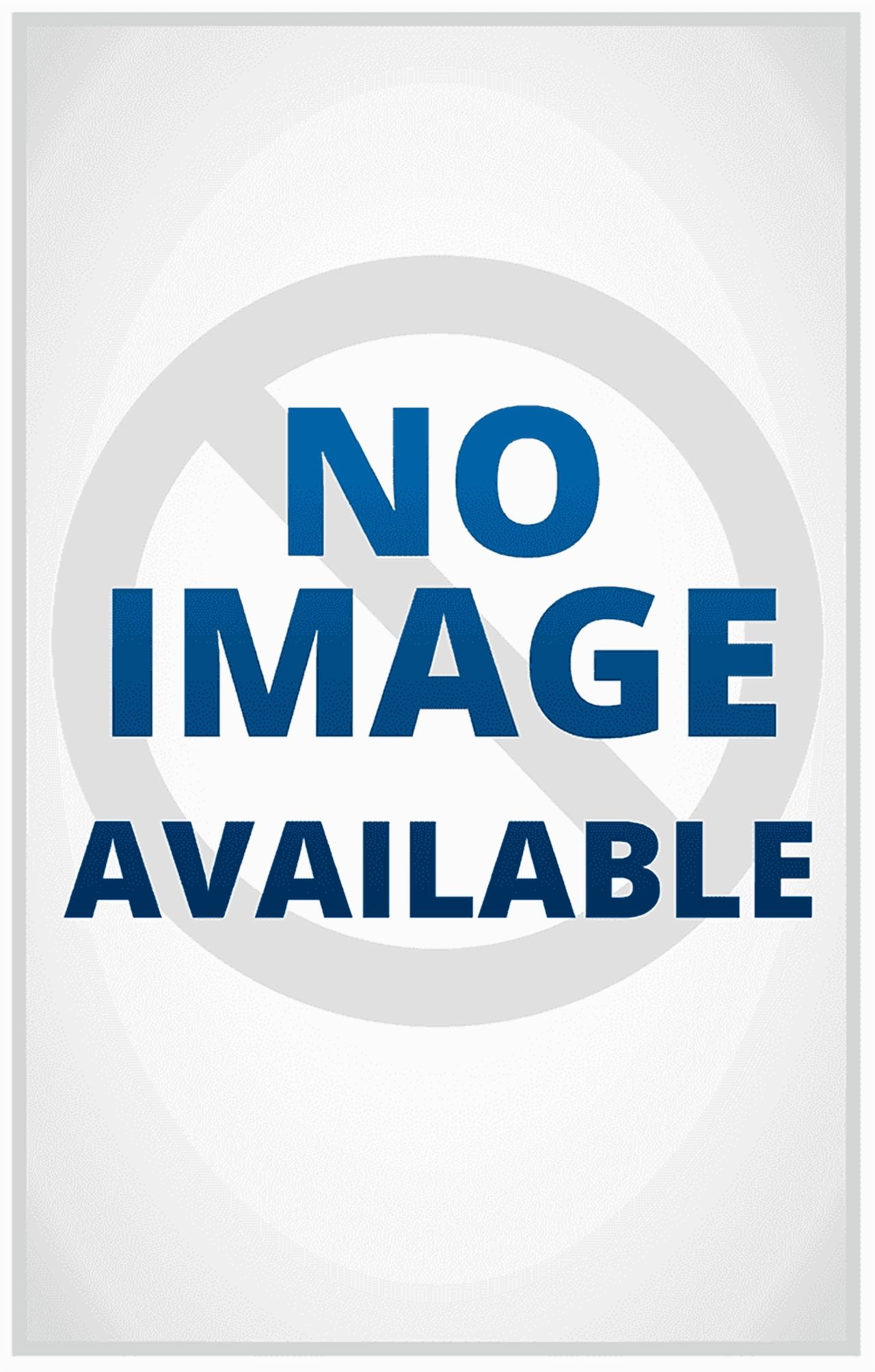 The Streets Never Sleeps The Streets Never Sleeps 2: Rise of the Family, Book 2, (Paperback)