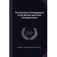 thumbnail image 1 of The Structure & Development of the Mosses and Ferns (Archegoniatae) (Paperback), 1 of 1