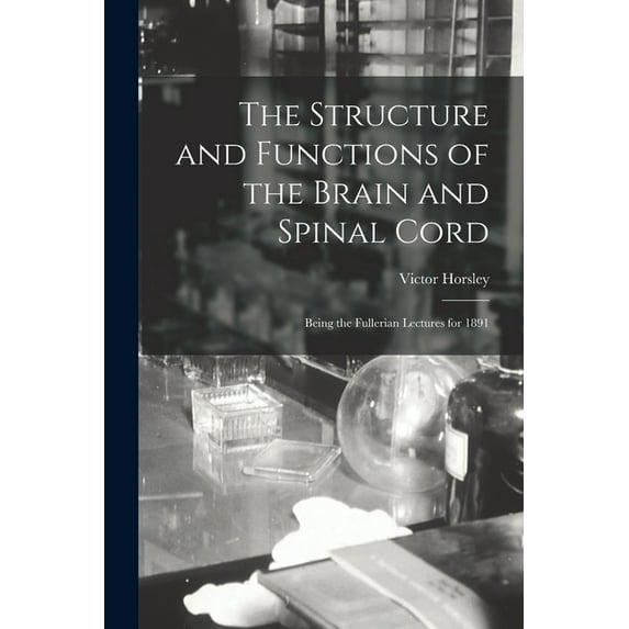 The Structure and Functions of the Brain and Spinal Cord (Paperback)