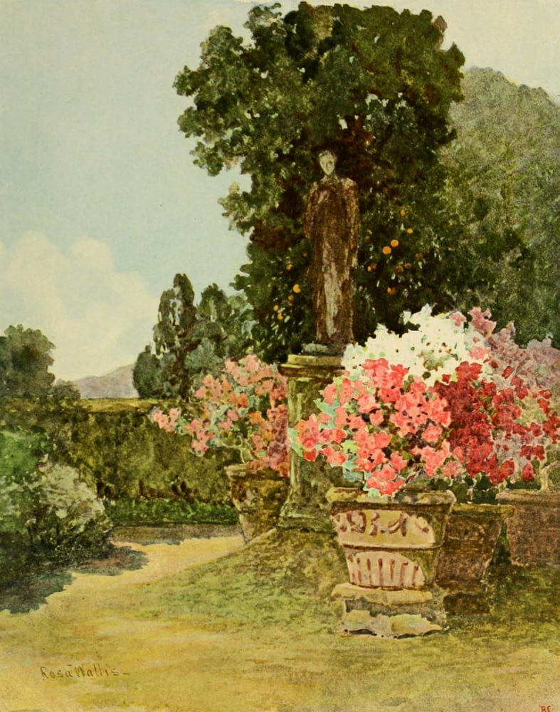 The Studio 1902 Canvas Art - Rosa Wallis (18 x 24)