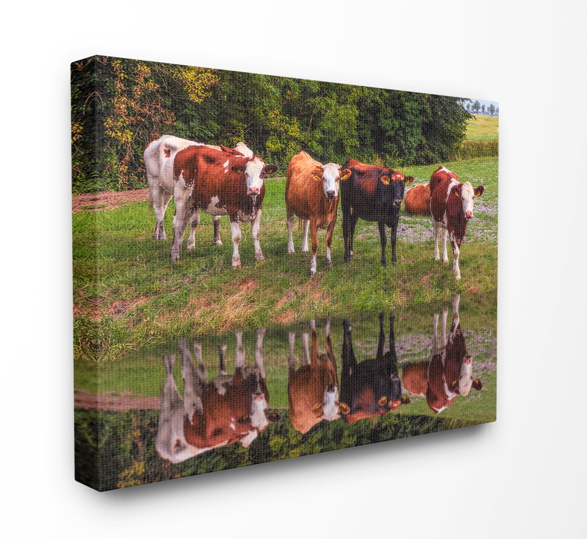 The Stupell Home Decor A Line of Cows At The Water Vibrant Photography Canvas Wall Art
