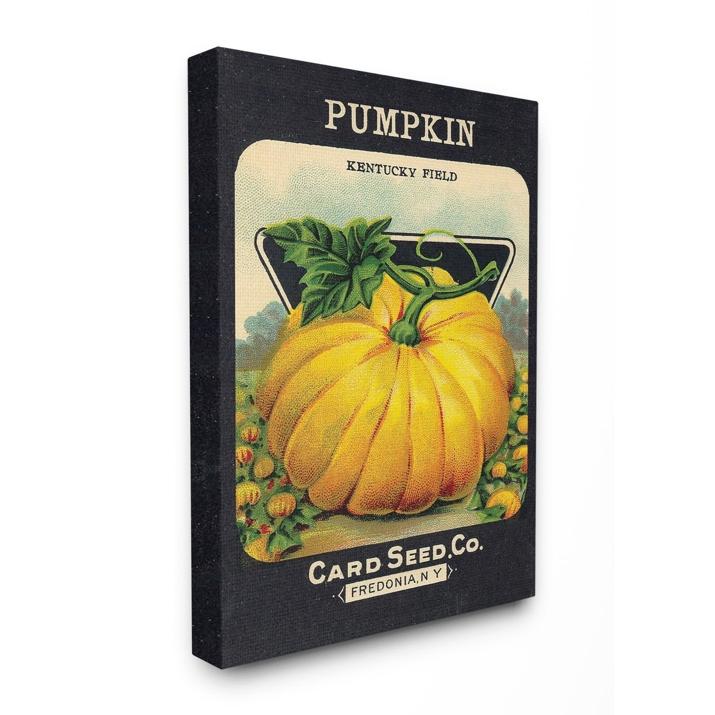 The Stupell Home Decor Aged Paper Vintage Pumpkin Seed Package Canvas Wall Art