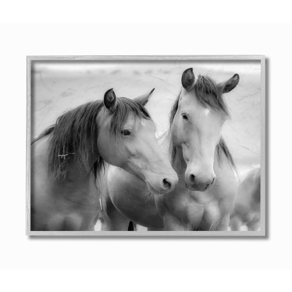 The Stupell Home Decor Black and White Soft Graphite Look Two Horses Photograph