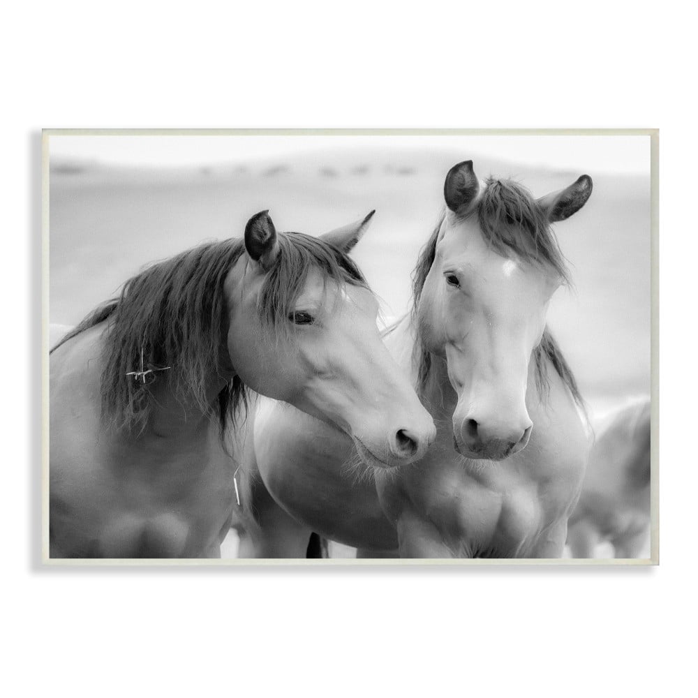 The Stupell Home Decor Black and White Soft Graphite Look Two Horses Photograph