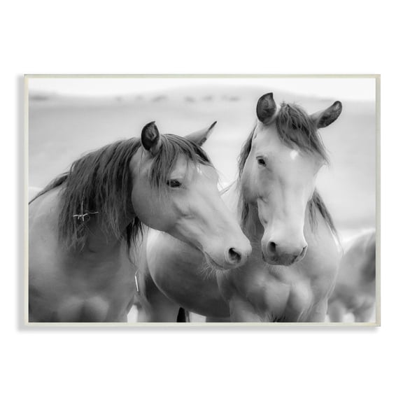 The Stupell Home Decor Black and White Soft Graphite Look Two Horses Photograph