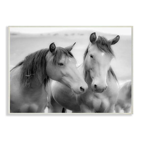 The Stupell Home Decor Black and White Soft Graphite Look Two Horses Photograph