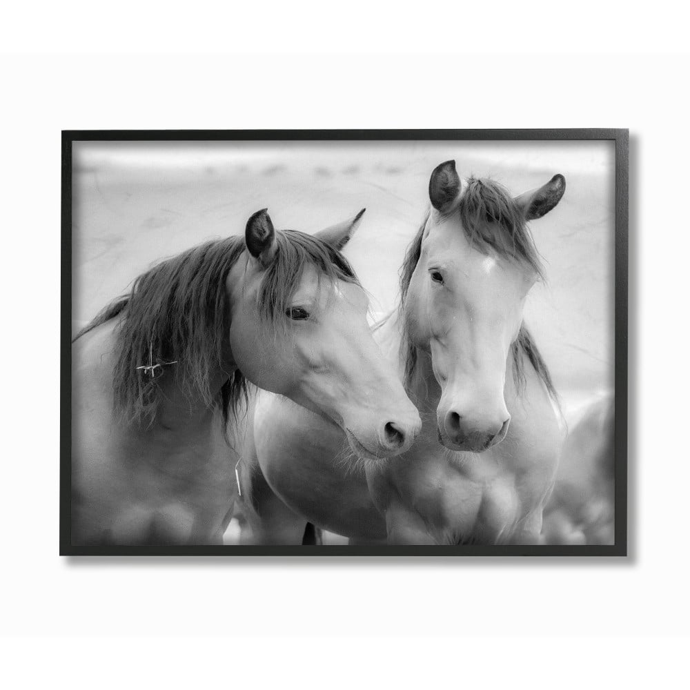 The Stupell Home Decor Black and White Soft Graphite Look Two Horses Photograph