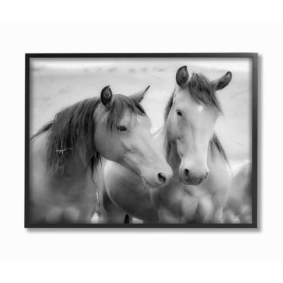 The Stupell Home Decor Black and White Soft Graphite Look Two Horses Photograph