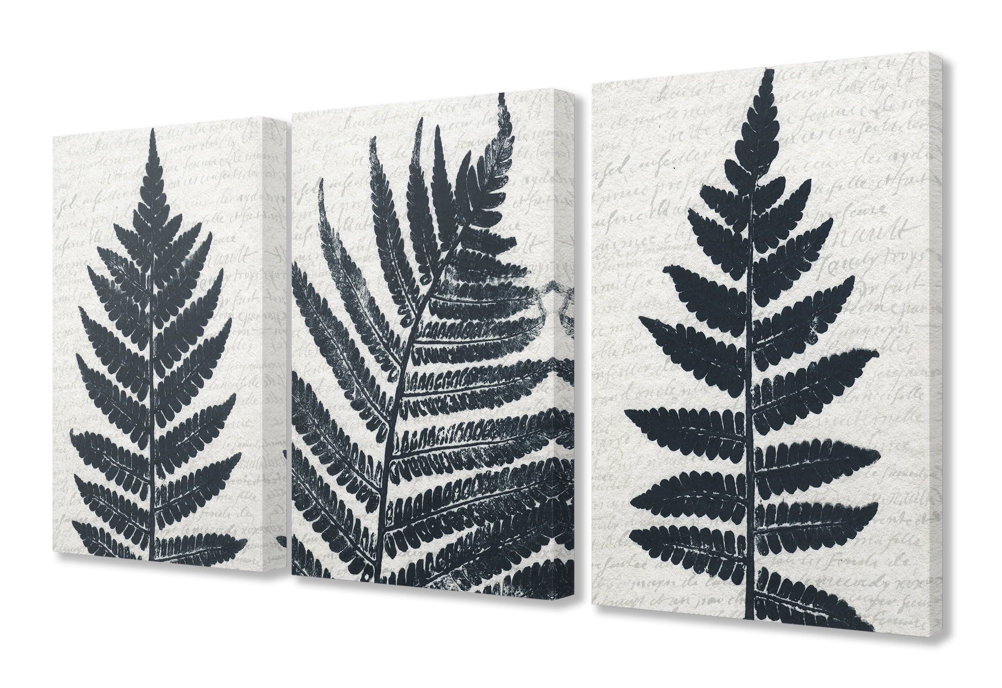 Bold Black Fern Prints on White Canvas Wall Art Set