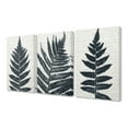 thumbnail image 1 of The Stupell Home Decor Bold Fern Pressing Prints on Collaged Paper Canvas Wall Art, 3pc, each 16 x 20, 1 of 6