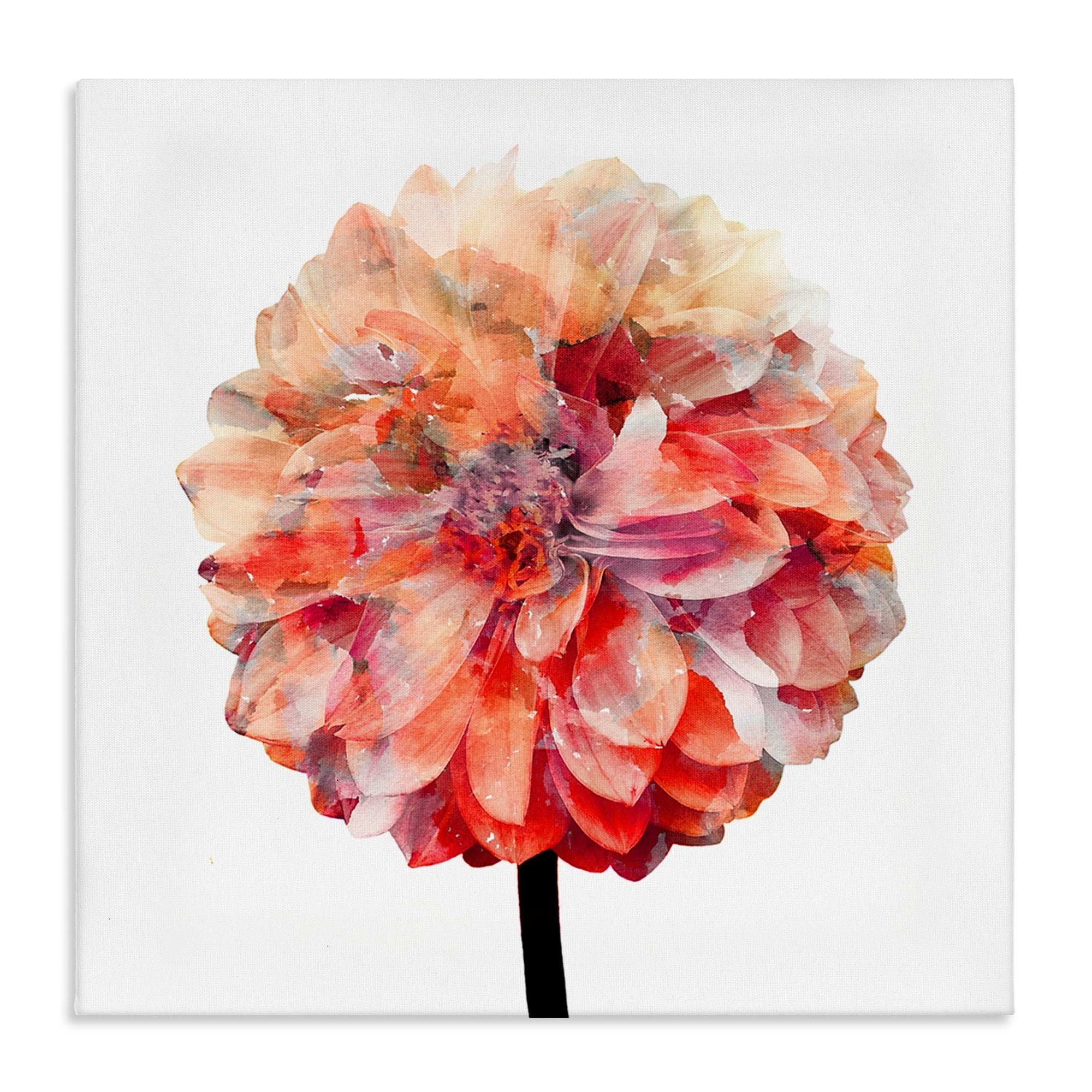 Bright Coral Watercolor Dahlia Flower Canvas Wall Art, 24 x 24