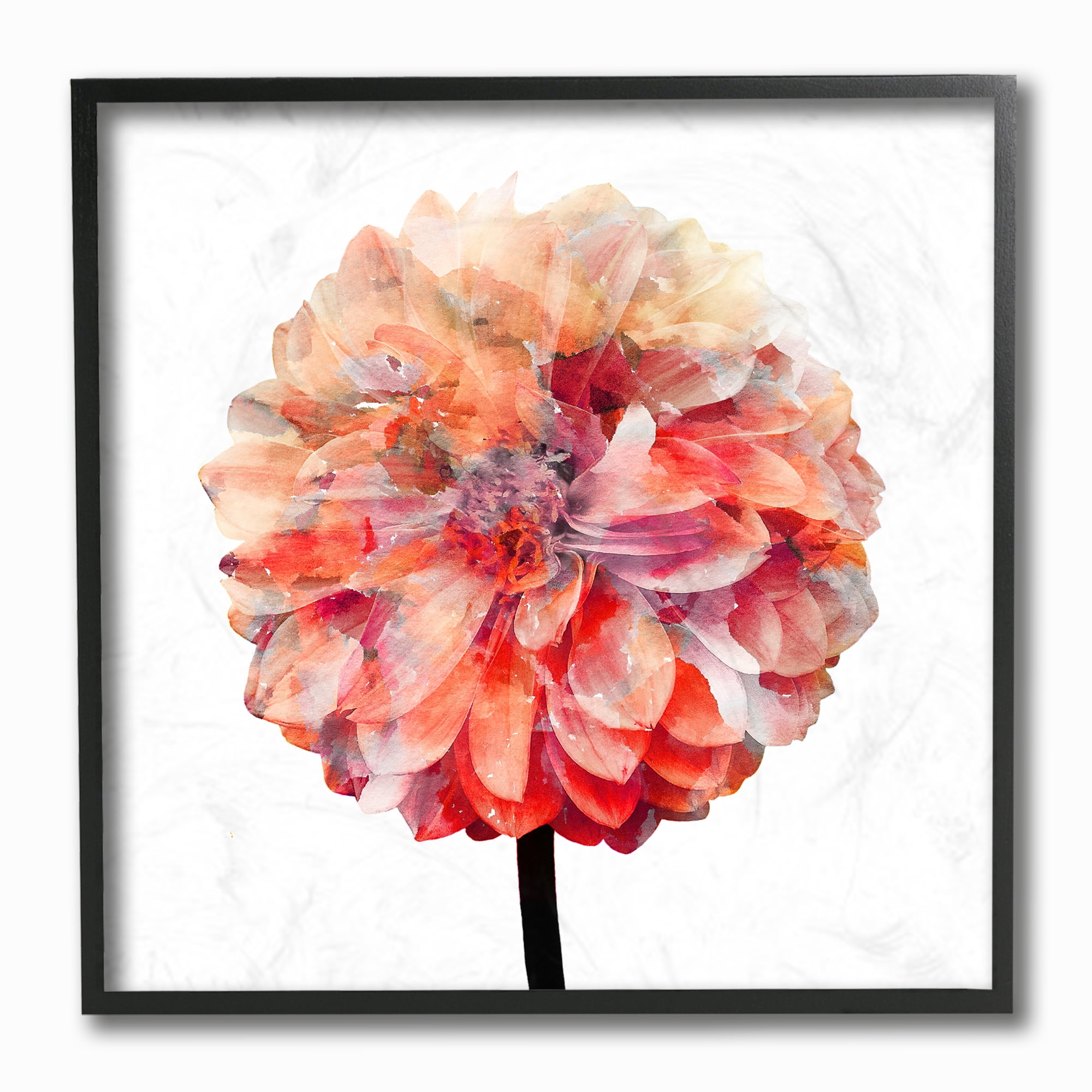 The Stupell Home Decor Bright Coral Watercolor Bloom Dahlia Flower Framed Texturized Art