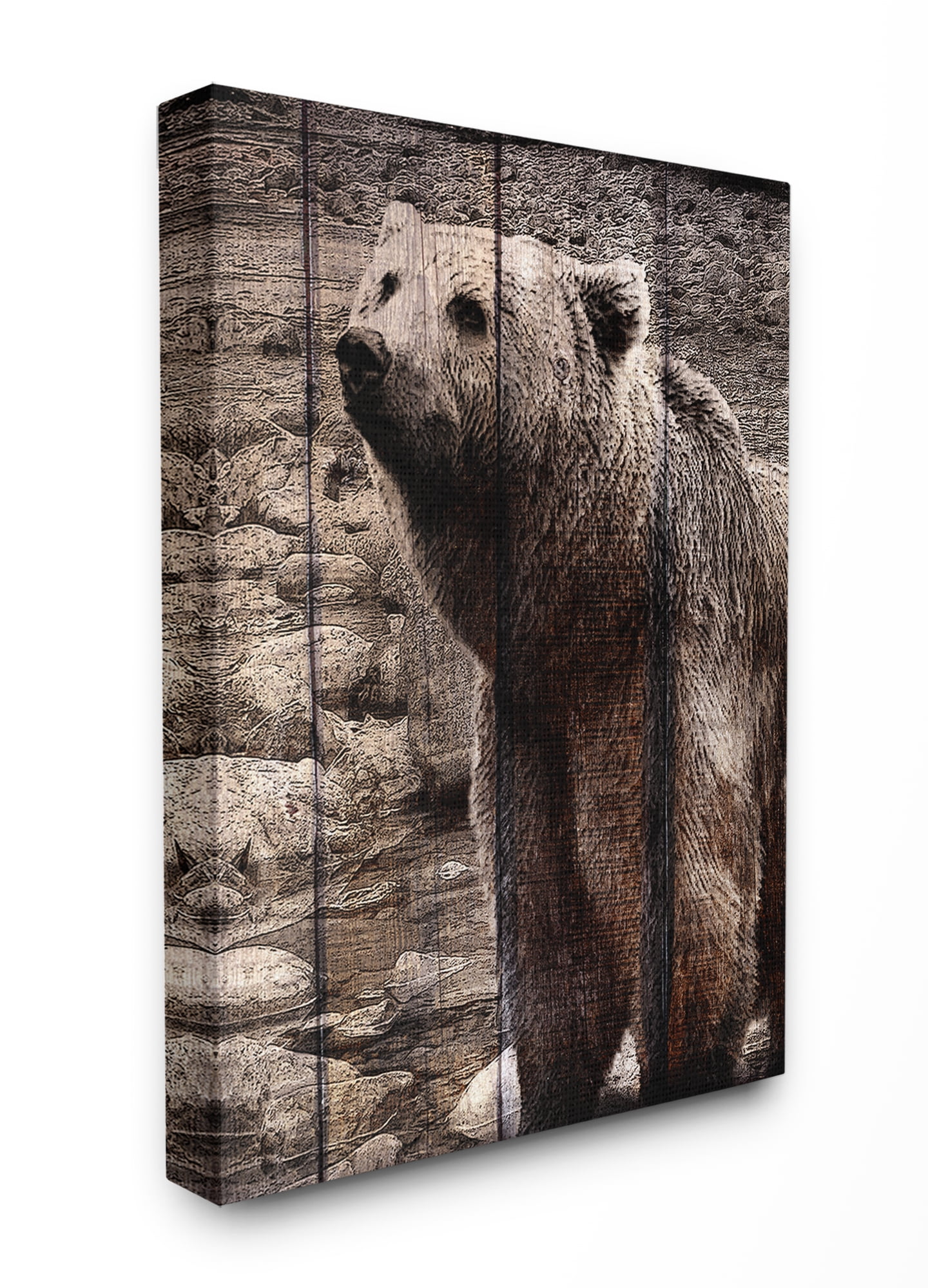 The Stupell Home Decor Brown Bear Planked Look Photography Canvas Wall Art
