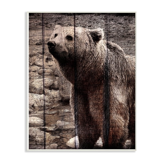 The Stupell Home Decor Brown Bear Planked Look Photography Wall Plaque Art