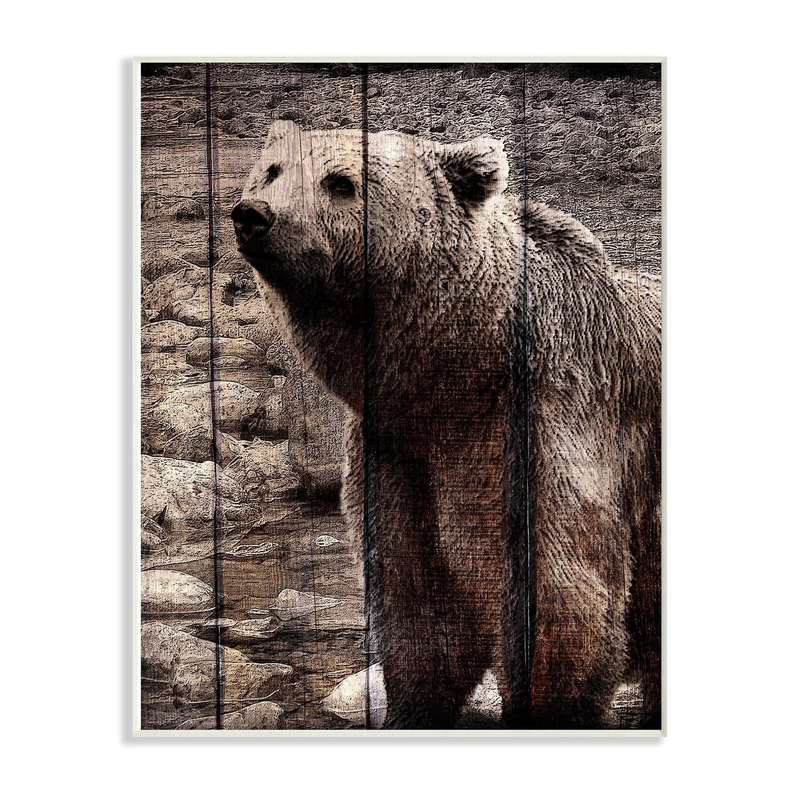 The Stupell Home Decor Brown Bear Planked Look Photography Wall Plaque Art