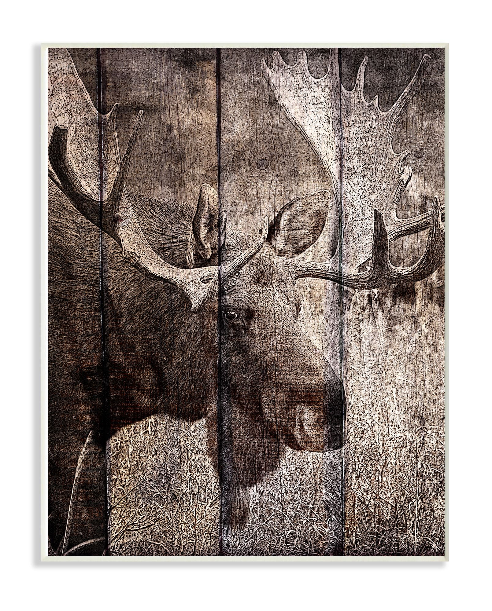 Rustic Brown Moose Photography Wall Plaque Art, 10 x 15 inches